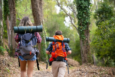 back-view-of-backpackers-walking-on-mountainous-trail-caucasian-hikers-or-traveler-carrying-backpacks-and-hiking-in-forest-together-backpacking-tourism-adventure-and-summer-vacation-concept